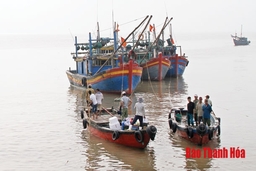 Ngư dân “xuất quân” chuyến biển đầu năm