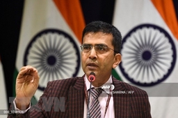 Ấn Độ kêu gọi giải pháp 2 nhà nước cho xung đột Israel-Palestine