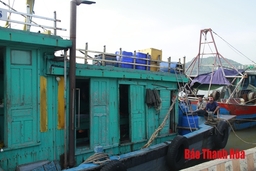Thực hiện đánh dấu tàu cá theo quy định