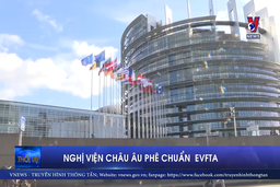 Nghị viện châu Âu phê chuẩn EVFTA