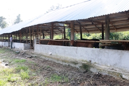 “Chìa khóa” để thực hiện thành công chuyển dịch cơ cấu kinh tế nông nghiệp tại huyện Như Xuân