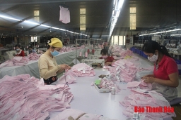 Phát triển doanh nghiệp: Số lượng cần đi đôi với chất lượng