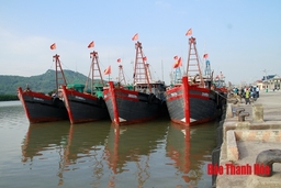 Triển khai kế hoạch “Tháng hành động bảo vệ nguồn lợi thủy sản vùng ven biển tỉnh Thanh Hóa”