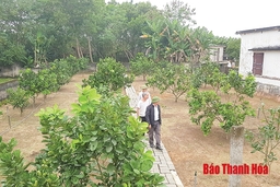 Những mô hình kiểu mẫu theo Di huấn của Chủ tịch Hồ Chí Minh