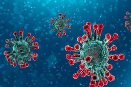 Virus gây bệnh Covid-19 được đặt tên mới: SARS-CoV-2
