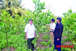 Đảng bộ huyện Như Thanh tăng cường kiểm tra, giám sát, thi hành kỷ luật Đảng