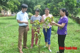 Nâng cao chất lượng đào tạo, bồi dưỡng lý luận chính trị cho đội ngũ cán bộ, đảng viên ở các huyện miền núi