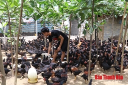 Hội Làm vườn và Trang trại hỗ trợ hội viên liên kết sản xuất