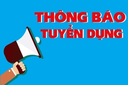 TP Sầm Sơn tuyển dụng 174 viên chức ngành GD&ĐT