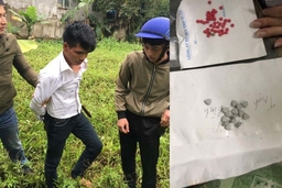 Công an huyện Thọ Xuân bắt giữ đối tượng tàng trữ ma túy