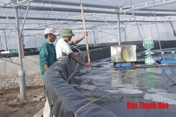 Phát triển HTX nuôi trồng thủy sản - còn nhiều khó khăn