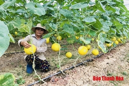 “Quả ngọt” từ Nghị quyết 04