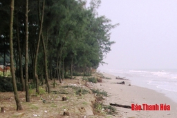 Nét mới trong quy hoạch xã Quảng Nham thành khu đô thị du lịch