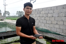 Bỏ nghề điều dưỡng, 8X về quê làm trang trại thu hàng trăm triệu đồng mỗi năm