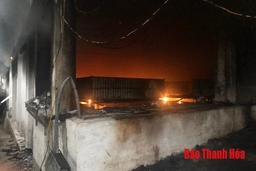 Cháy trại lợn giống Tâm Niệm (Hoằng Hóa)