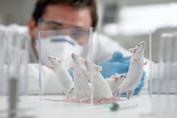 Viện Pasteur của Pháp thử nghiệm vắcxin chống COVID-19 trên chuột