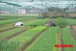 Huyện Nông Cống: Phát huy dân chủ, coi trọng vai trò nêu gương của cán bộ, đảng viên