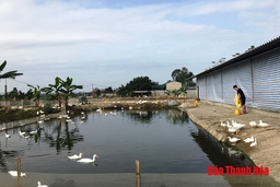 “Đánh thức” vùng đất Hoằng Xuyên