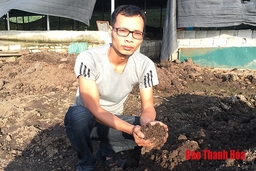 Treo bằng đại học về quê nuôi... giun