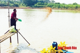 Huyện Yên Định tập trung xây dựng xã, thị trấn đạt tiêu chí an toàn thực phẩm