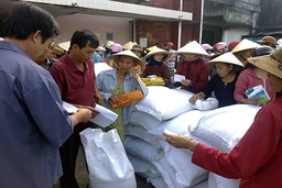 Hỗ trợ gạo cho huyện Mường Lát để thực hiện công phát triển rừng