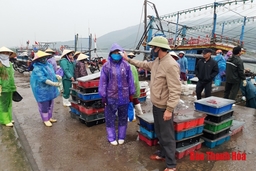 Chủ động công tác phòng chống dịch COVID-19 tại các cảng cá
