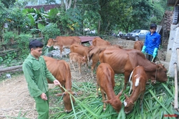 NHCSXH Thanh Hóa chưa ghi nhận món vay nào bị ảnh hưởng do dịch bệnh COVID-19