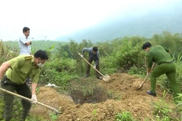 Phát hiện và tiêu hủy các cá thể đông lạnh động vật quý hiếm