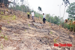 Bài 1: Thực trạng và nguyên nhân