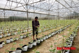 Trung tâm học tập cộng đồng xã Lam Sơn: Nhiều hoạt động hiệu quả, thiết thực