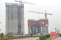Phát triển chung cư đô thị và những vấn đề đặt ra