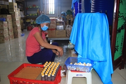 Xây dựng kế hoạch thúc đẩy phát triển sản phẩm OCOP trong và sau dịch bệnh COVID-19
