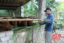 “Chìa khóa” trong xây dựng nông thôn mới ở Phú Nghiêm