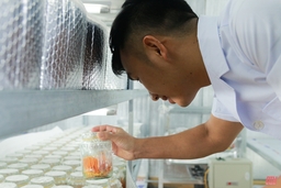 Cận cảnh mô hình nuôi đông trùng hạ thảo của chàng kỹ sư trẻ