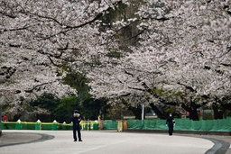 Nhật Bản cân nhắc mở cửa lại một số địa điểm công cộng