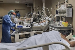 Dịch COVID-19: Số người nhập viện tại bang New York giảm kỷ lục