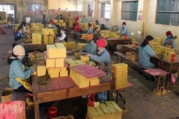 Tăng cường công tác bảo vệ môi trường trong việc sản xuất giấy vàng mã, bột giấy