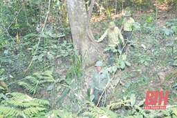 Phương án quản lý rừng bền vững Ban quản lý rừng phòng hộ Sông Chàng