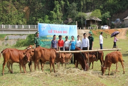 Ra mắt Tổ hợp tác chăn nuôi do phụ nữ làm chủ tại xã Yên Khương
