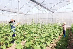 Huyện Hoằng Hóa tạo đà bứt phá cho một nhiệm kỳ: Bài 2: Tạo dựng những giá trị bền vững