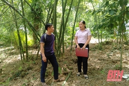 Hiệu quả tín dụng chính sách ở huyện Lang Chánh