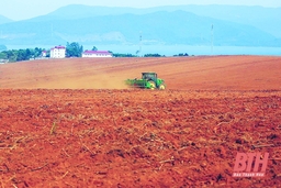 Thanh Hóa – vùng đất tiềm năng phát triển nông nghiệp quy mô lớn