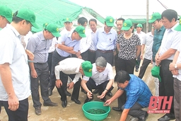 Chủ động tham mưu có hiệu quả Chương trình xây dựng nông thôn mới