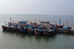 Các tỉnh, thành phố ven biển chủ động ứng phó với áp thấp nhiệt đới