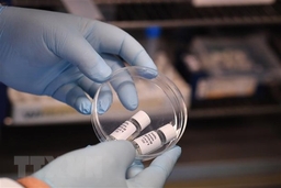 EC đề xuất nới lỏng quy định thử nghiệm vắcxin ngừa COVID-19