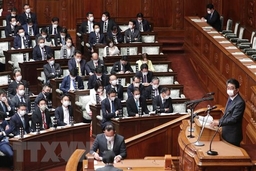 Nhật Bản: Thủ tướng Abe có thể giải tán Hạ viện vào mùa Thu