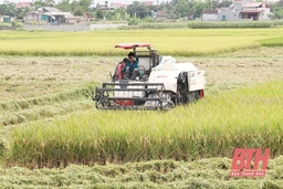 Ghi nhận kết quả trong sản xuất vụ đông xuân