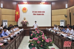 Ban Thường vụ Tỉnh ủy Thanh Hoá duyệt nội dung Đại hội đại biểu Đảng bộ huyện  Đông Sơn
