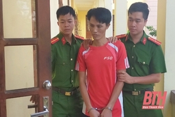 Bắt 2 anh em siêu trộm thực hiện 13 vụ trộm cắp tài sản trong nhà dân