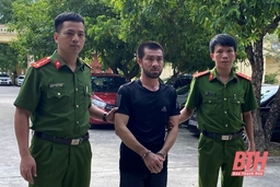 Công an thị xã Nghi Sơn: Bắt đối tượng chuyên trộm cắp trâu bò